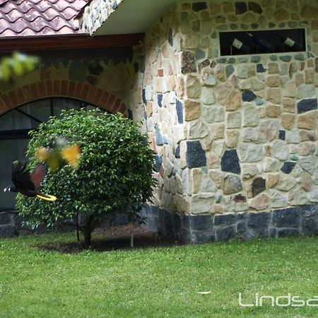 Gingerbread Restaurant & Hotel Nuevo Arenal Kültér fotó